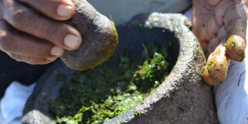 COVID-19 offered Africa the opportunity to integrate traditional medicine into mainstream healthcare systems.