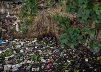 Int´l: Pleas against plastic repackaged in Philippines