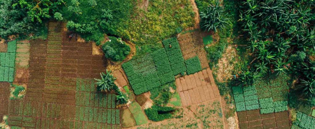 African Development Bank loans Nigeria $210 million for Special Agro-Industrial Processing Zones