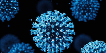 New coronavirus strain found: Covid-fighting antibodies do not protect from a new strain of coronavirus