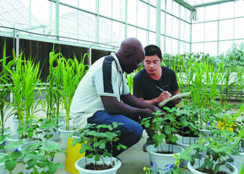 Burkina Faso: Student learns of higher crop yield at Chinese university