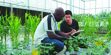Burkina Faso: Student learns of higher crop yield at Chinese university