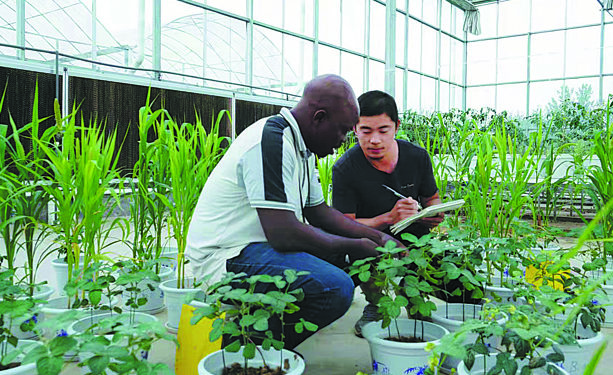 Burkina Faso: Student learns of higher crop yield at Chinese university