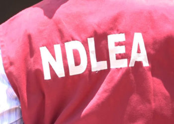 Nigeria: NDLEA seizes codeine worth N2bn at Lagos port