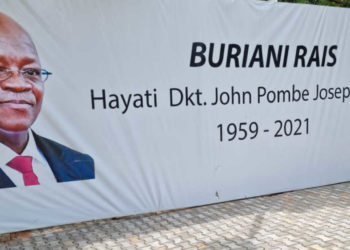 African Development Bank Group chief pays homage to the late President John Magufuli