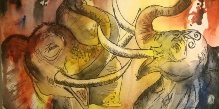 "When two elephants fight, the one who suffers the most is the grass they step on." -- African Proverb