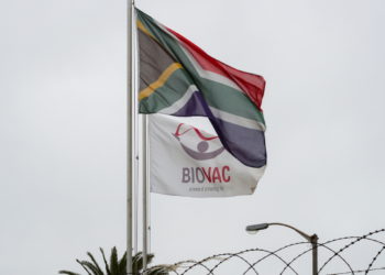 Cape Town: Boost for African-made jabs with funding deal