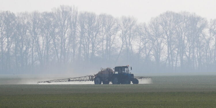 Food supply: Ukraine conflict affecting Africa grain supplies