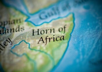 China is looking forward to working closely with Kenya to realize stability in the Horn of Africa