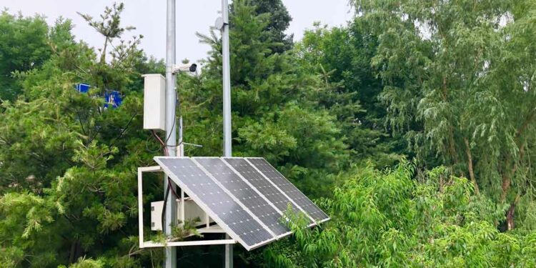 African Development Bank delegation in Egypt to ensure success of COP27