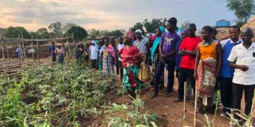 Mozambique: African Development Bank Group approves $1.4 million grant for Enhancing Private Sector Engagement and Capacity Building for refugees and internally displaced persons