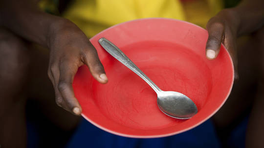 US warns of famine: Africa and the Middle East are likely to be affected