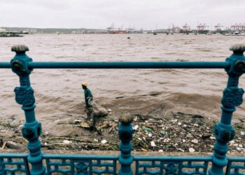 Chinese embassy in South Africa donates to flood victims