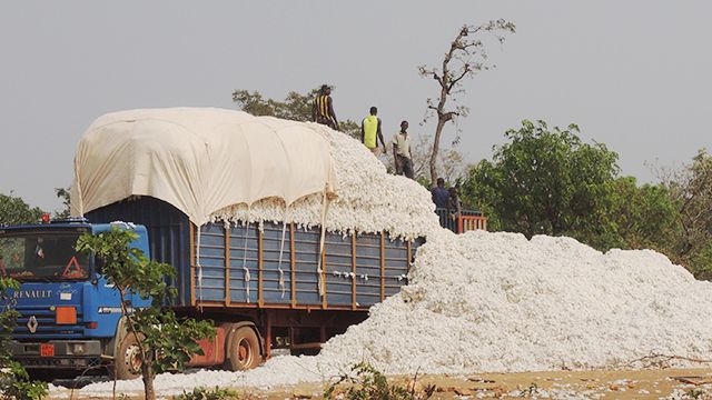 Agricultural production: Benin safe from food shortages