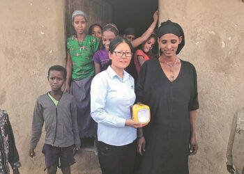 Ethiopia: Private enterprises blaze a trail in continent's solar power sector