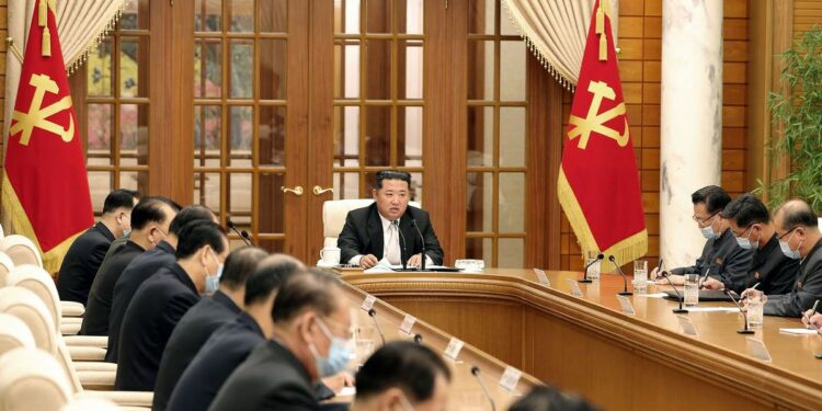 Kim Jong-un calls for 'maximum emergency' measures following first COVID-19 case