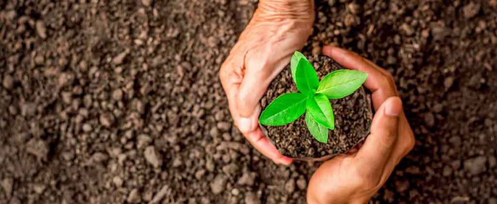 Bank launches stakeholder consultations for updated Integrated Safeguards System