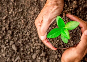 Bank launches stakeholder consultations for updated Integrated Safeguards System