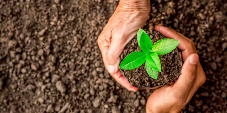 Bank launches stakeholder consultations for updated Integrated Safeguards System