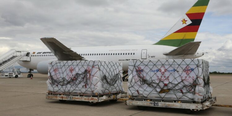 Africa to benefit from President Xi's post-pandemic strategies