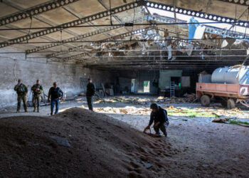 “The World War for Bread is already underway and we must stop it,” -- Italian Foreign Minister Luigi di Maio