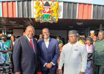 African Development Bank Group president calls for more partnerships to build Africa’s social infrastructure