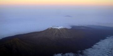 South African animal activist Sandra Cheung led a group of 14 animal lovers to climb Mount Kilimanjaro