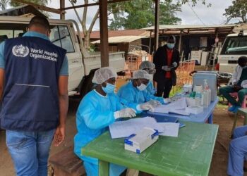 Africa battles COVID-19 and 11 other mostly zoonotic disease outbreaks -- Africa CDC