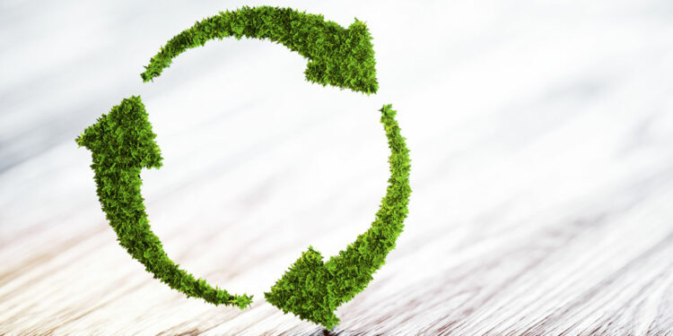 East African initiative seeks to tap bioeconomy potential