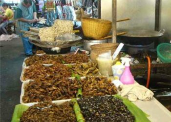 End hunger: A future where insects make up a substantial portion of the world's diet is on the horizon.