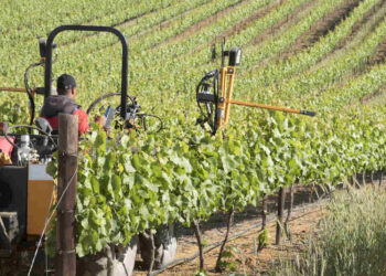 African Development Bank grants $1.4 million to Export Trading Group to strengthen entrepreneurship skills of women-owned & led businesses in Mozambique, Tanzania and Zambia