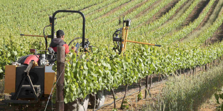 African Development Bank grants $1.4 million to Export Trading Group to strengthen entrepreneurship skills of women-owned & led businesses in Mozambique, Tanzania and Zambia