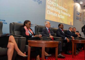 COP27: experts explore avenues to mobilize more robust financing for climate Action