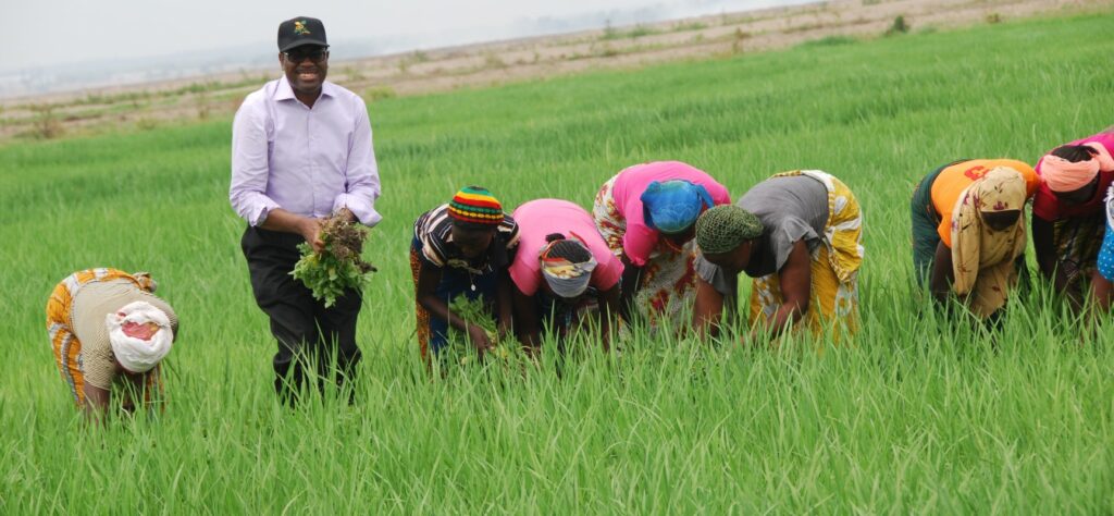 Farming In Benin