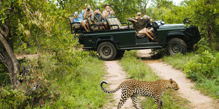 Top 3 Most Visited Countries in Africa