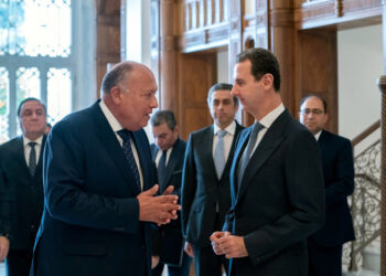 Egypt’s Foreign Minister Visits Syria, a First in a Decade