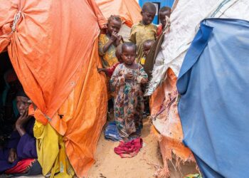 Somalia: $2.6 Billion Appeal to Aid Millions Still on the Brink of Famine