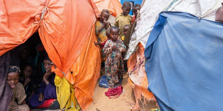 Somalia: $2.6 Billion Appeal to Aid Millions Still on the Brink of Famine