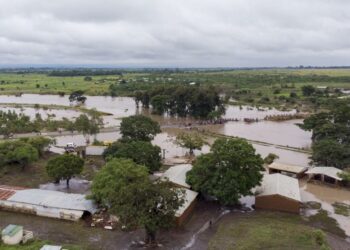 Mozambique: Cyclone Freddy Triggers Worst Cholera Outbreak in Decades