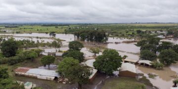 Mozambique: Cyclone Freddy Triggers Worst Cholera Outbreak in Decades