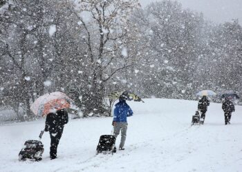 South Africa: Johannesburg Marvel’s at a Rare Snowfall