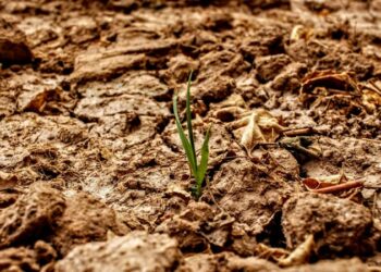 Groundwater – Key to Mitigating the Effects of The Climate Crisis