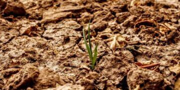 Groundwater – Key to Mitigating the Effects of The Climate Crisis