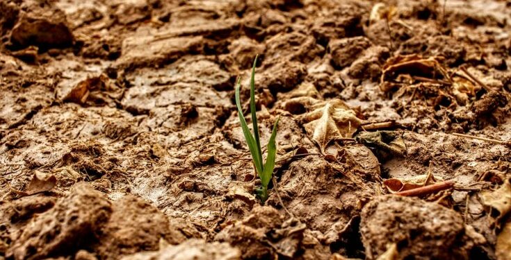 Groundwater – Key to Mitigating the Effects of The Climate Crisis