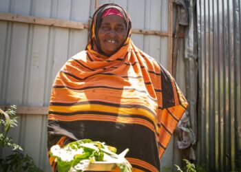 Somalia: Displaced Women Grow Hope in Kitchen Gardens