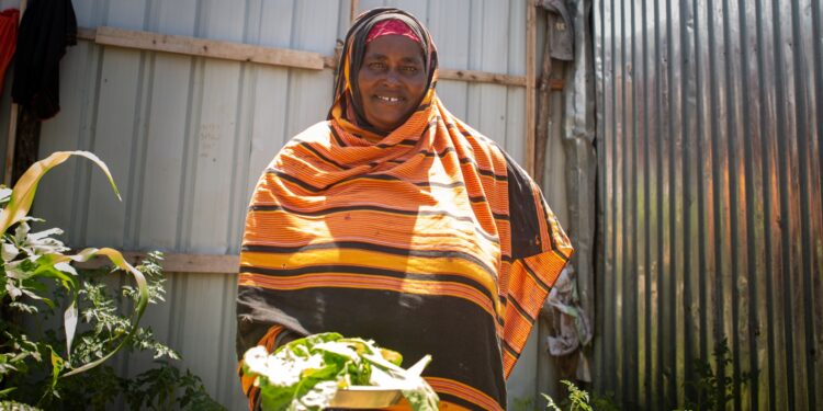 Somalia: Displaced Women Grow Hope in Kitchen Gardens