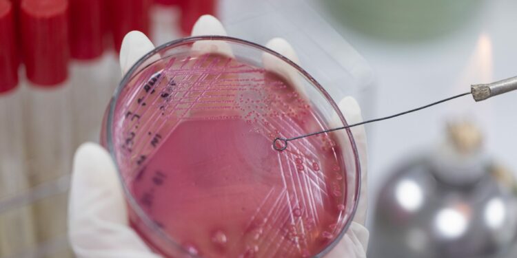 £210 million to Tackle Deadly Antimicrobial Resistance