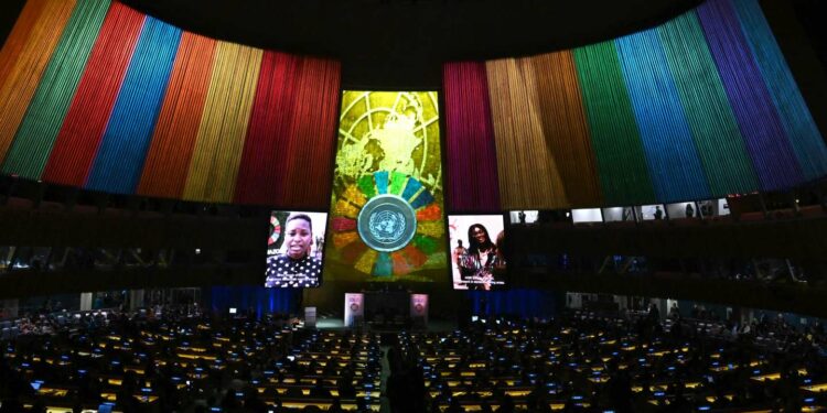 Africa Calls For Action on Climate, Investment at UN Assembly