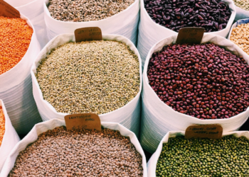 Kenya Main Focus as Africa Makes Beans Answer to Food Insecurity