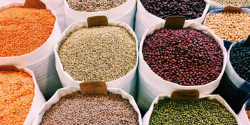 Kenya Main Focus as Africa Makes Beans Answer to Food Insecurity